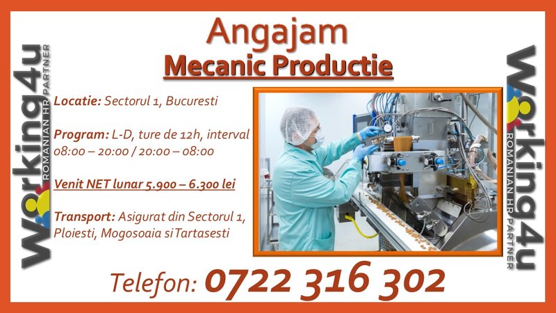 Mecanic productie