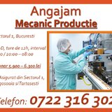 Mecanic productie